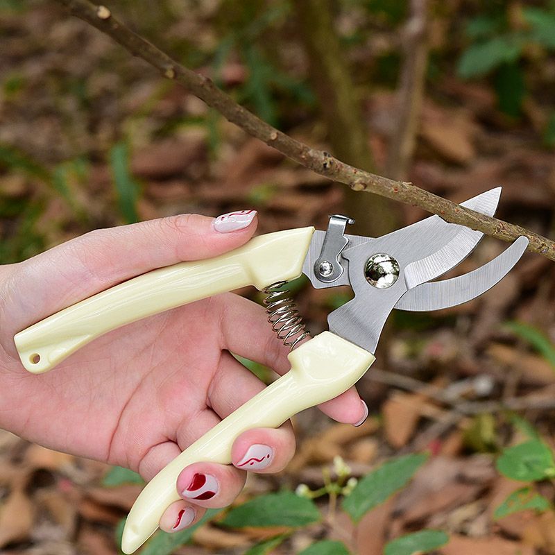 Gardening Tools Spade - Tesoura de Poda para Jardim que