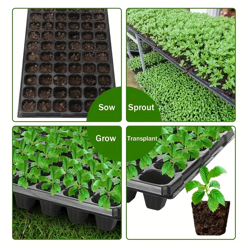 10, bandeja de berçário, bande - Seed Starter Trays avaliação e preço