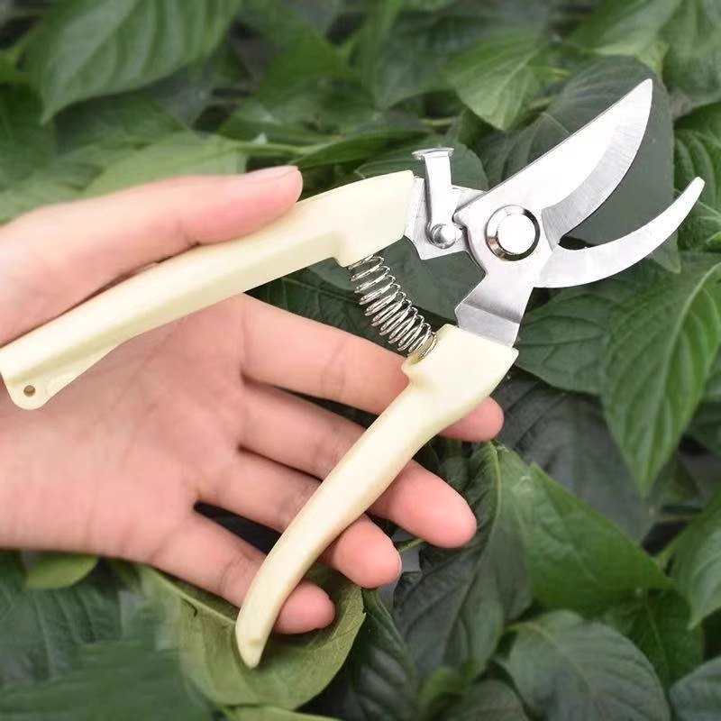 Tesoura de Poda Elétrica para  - Gardening Tools Pink avaliação e preço