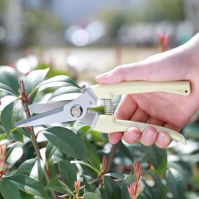 Tesoura de Poda Elétrica para  - Gardening Tools Pink avaliação e preço