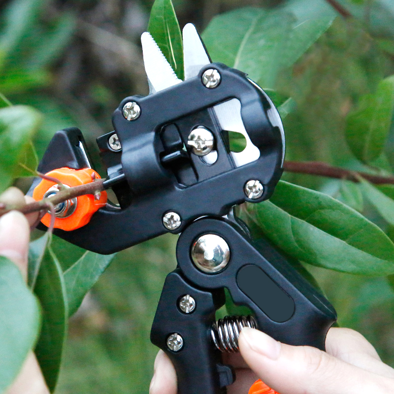 Filme de enxerto tesoura plant - Gardening Tools To Cut Branches avaliação e preço