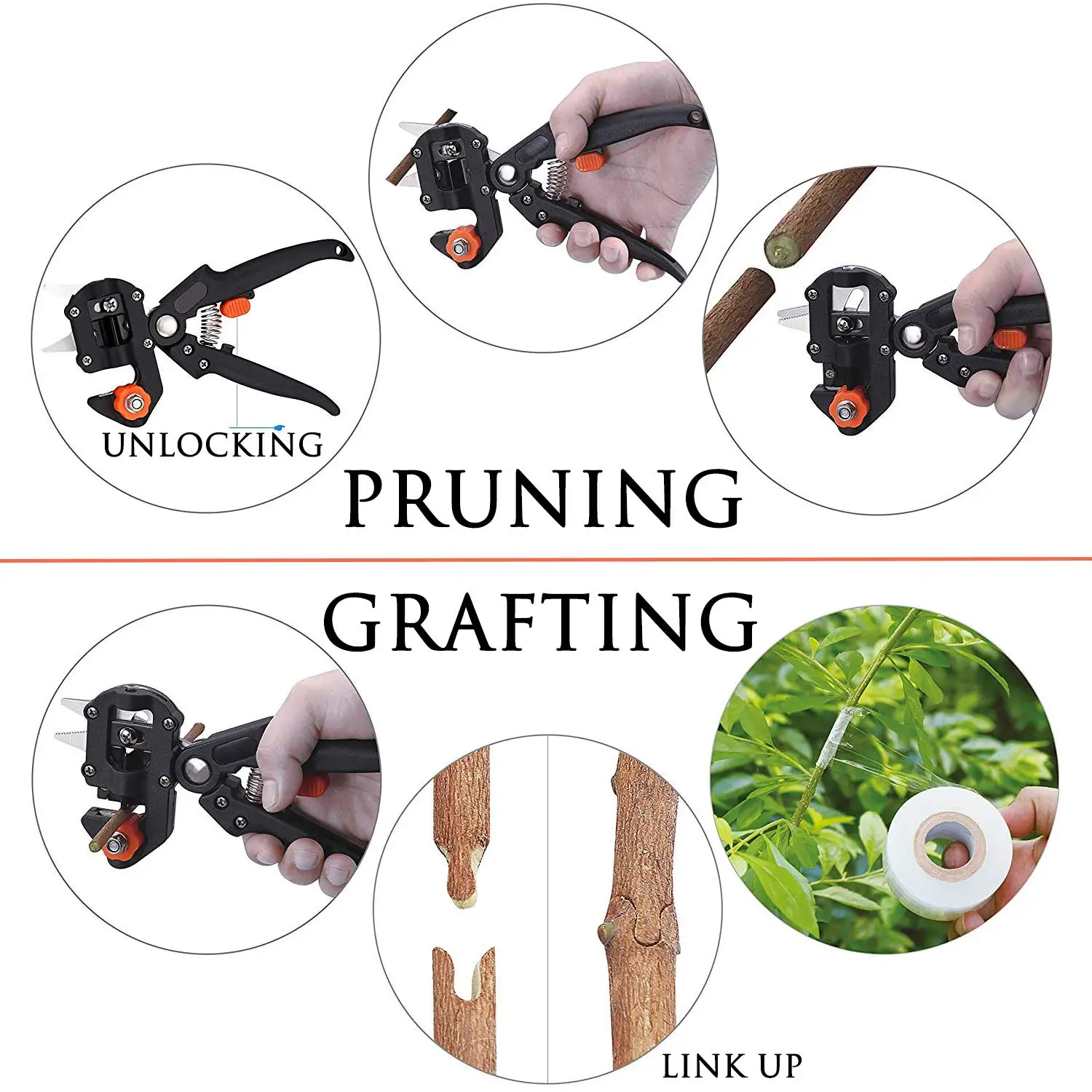 Filme de enxerto tesoura plant - Gardening Tools To Cut Branches avaliação e preço