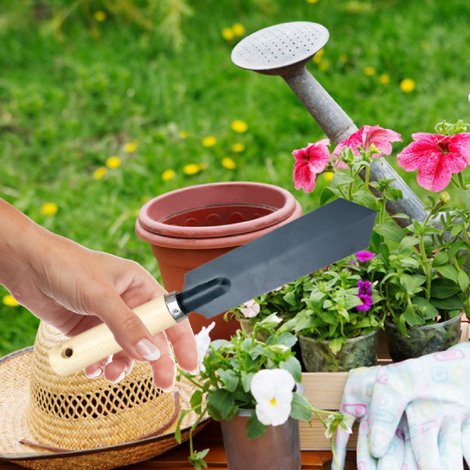 Pequena ferramenta de escavaçã - Gardening Tools Spade avaliação e preço