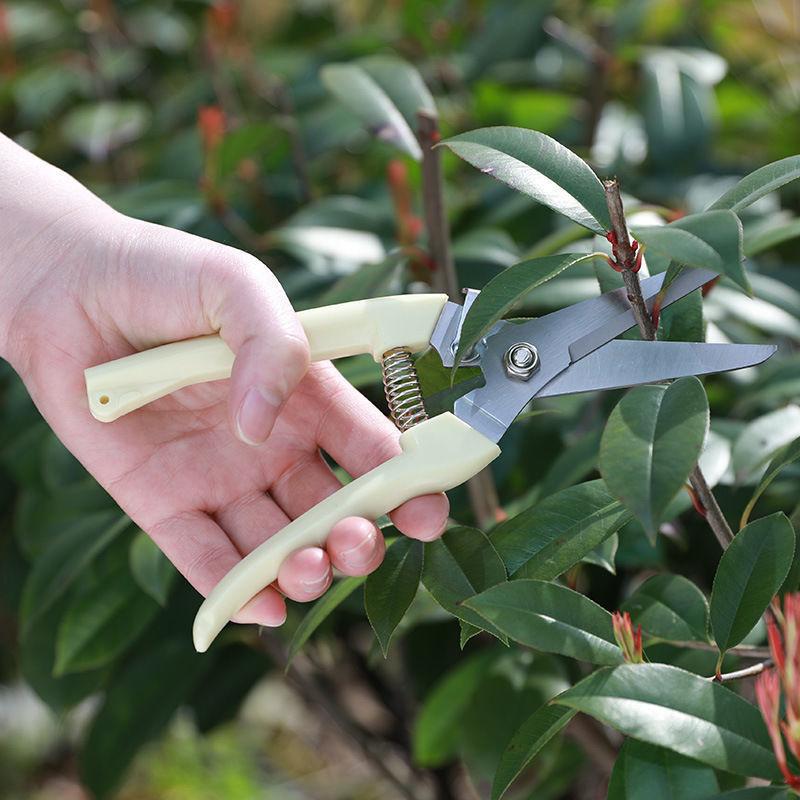 Tesoura de Poda em Aço Inoxidá - Gardening Tools To Cut Branches avaliação e preço