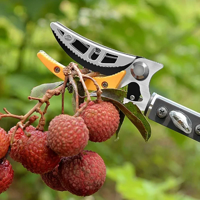 Altura telescópica selecionado - Gardening Tools To Cut Branches avaliação e preço