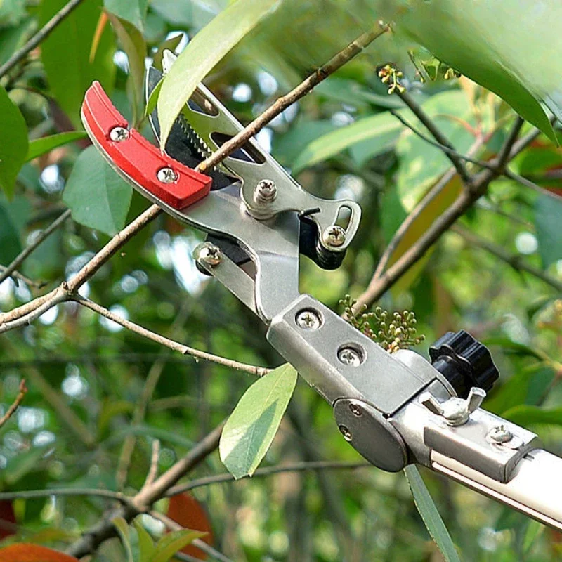 Altura telescópica selecionado - Gardening Tools To Cut Branches avaliação e preço