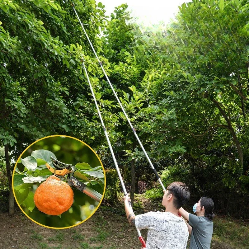 Altura telescópica selecionado - Gardening Tools To Cut Branches avaliação e preço