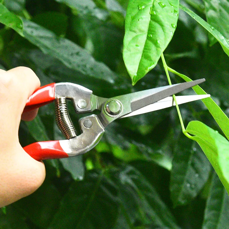 Tesoura de poda de aço inoxidá - Gardening Tools Pink avaliação e preço