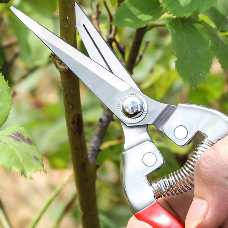 Tesoura de poda de aço inoxidá - Gardening Tools Pink avaliação e preço