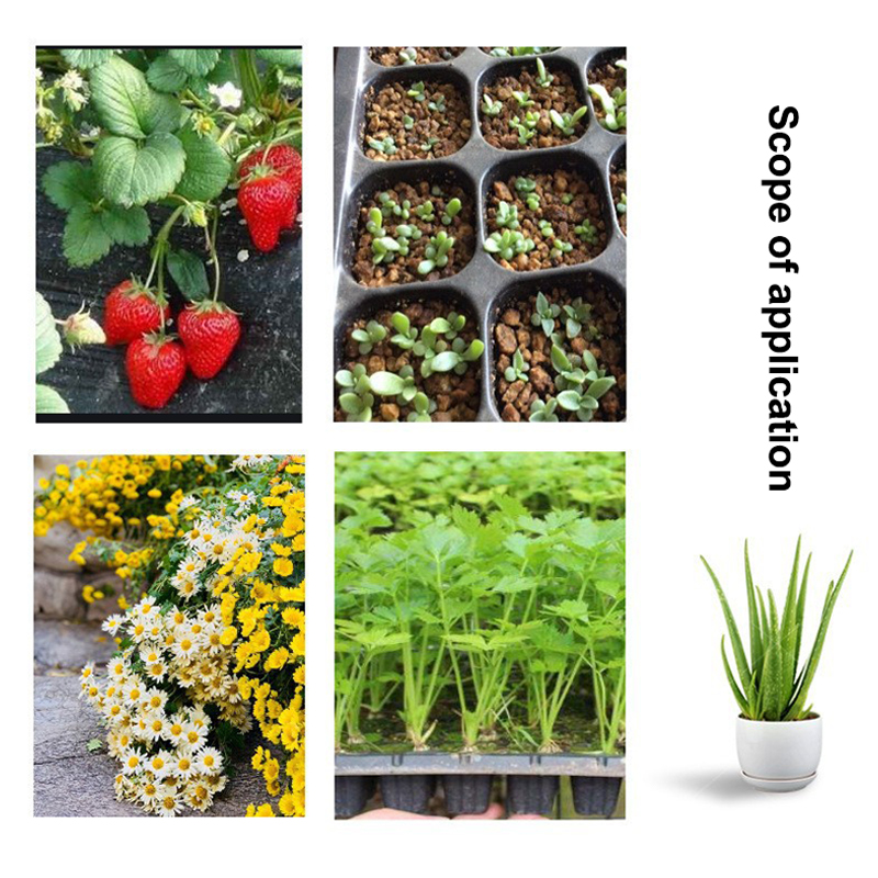 Kit com 10 Bandejas Plásticas  - Seed Starter Trays avaliação e preço