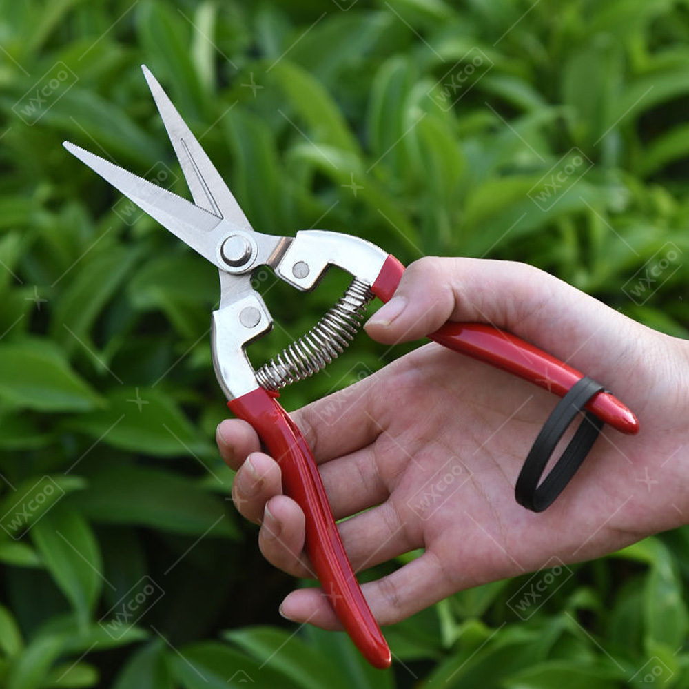 Tesoura de Poda Profissional p - Gardening Tools Pink avaliação e preço