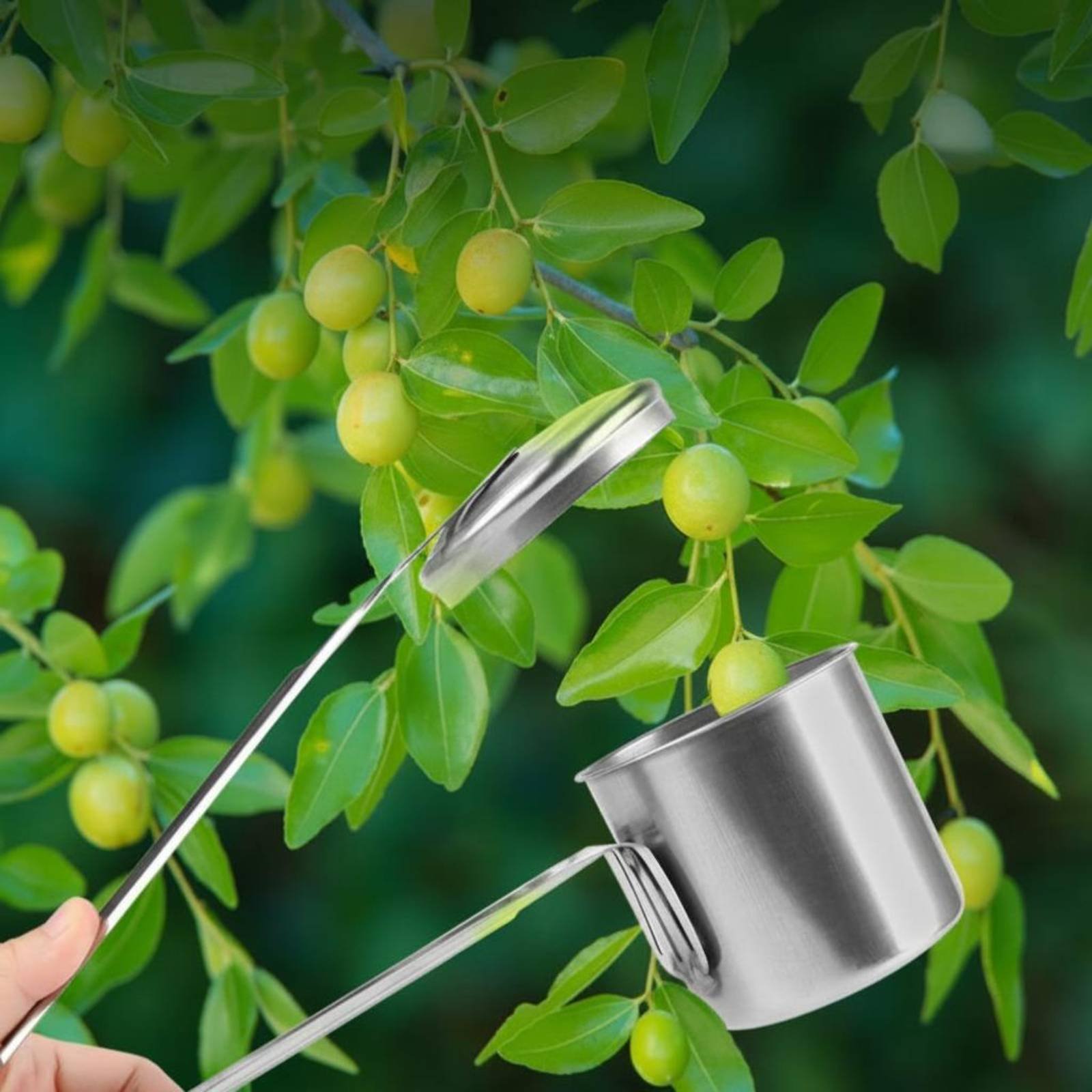 Cortador de Frutas em Aço Inox - Gardening Tools And Uses avaliação e preço